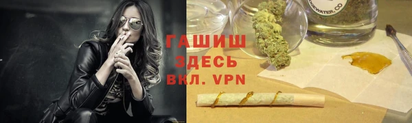 стаф Арсеньев