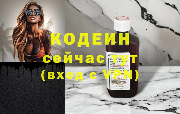 стаф Арсеньев