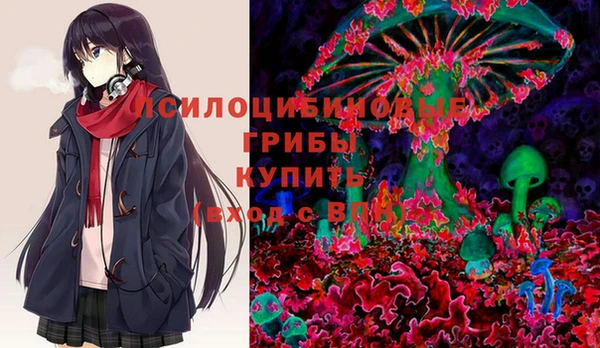 круглые Армянск