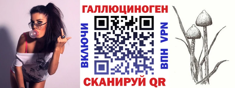 darknet телеграм  Рыльск  Галлюциногенные грибы Magic Shrooms 